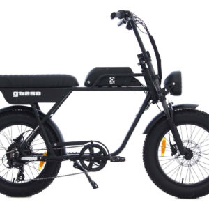 fatbike AGM-GT250- zwart
