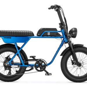 fatbike Phatfour FLX (blauw)